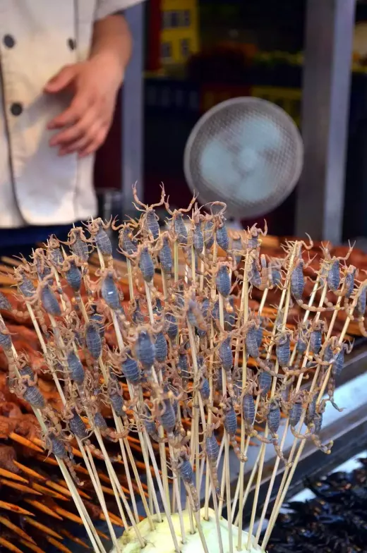 Exploring the Street Foods of China
